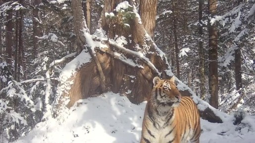 ������� ���������� ���� ������������ � ������������ ������