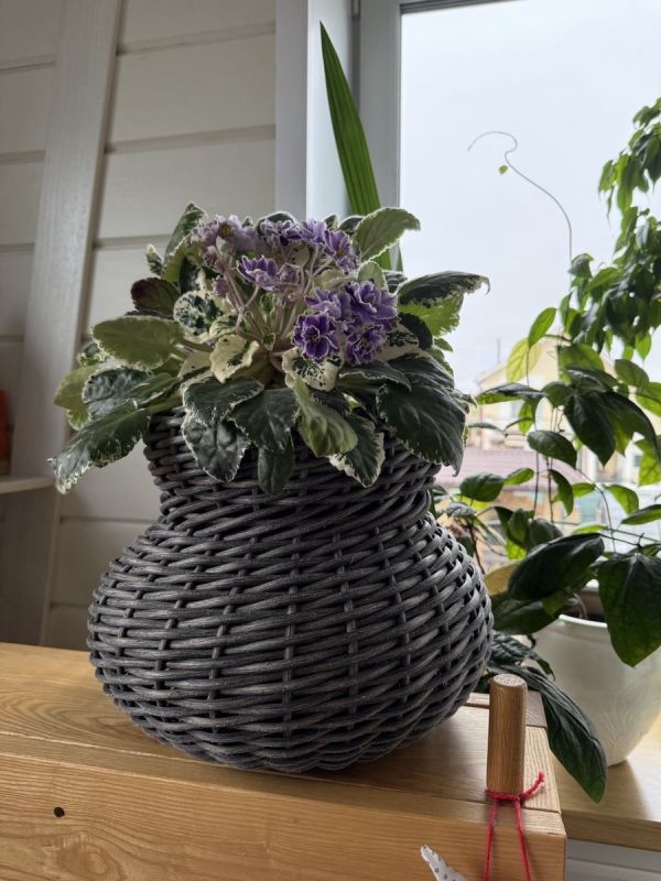 �������� ��������� ����� �� �������: ������� � ������������� �������