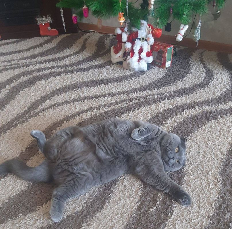 � ��� � ������� ����������� ������