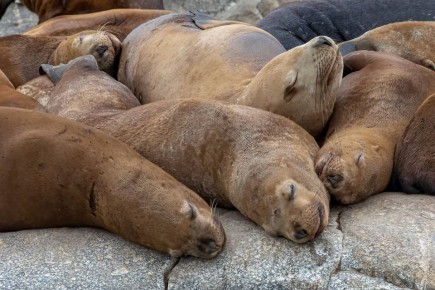 ������� �� �������� �������� �������� �������� � ���������