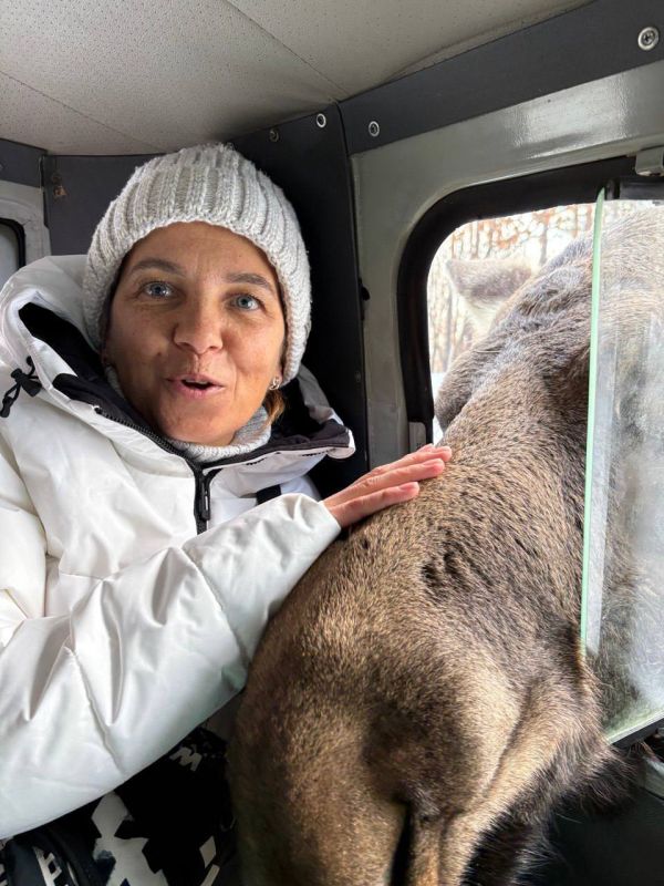 3 ��� �� ���������� ������ ����� �� ������� �������� ������ � ����� ����������� � ��������� ���� �������� �����