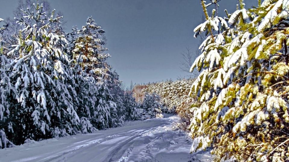 ��������� ������ ������� ���� ������ ���� ������ � ��������� �������� ���������� �� ������ ���������� ����� ���������