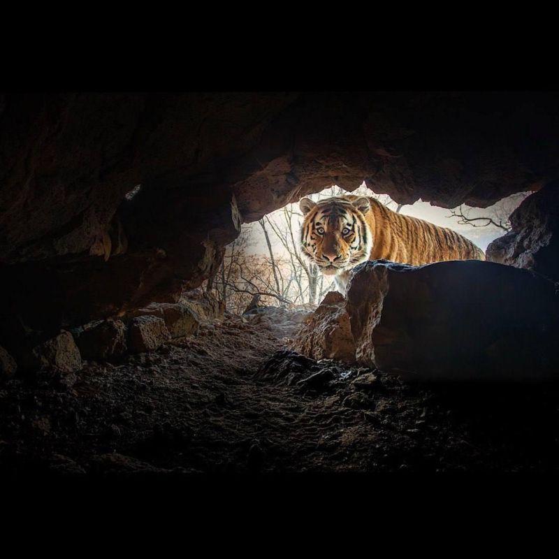 "��� ������ ��������". "�������������" �������� ���� ����� � ���� ����������� ��������� ��������� � ��������