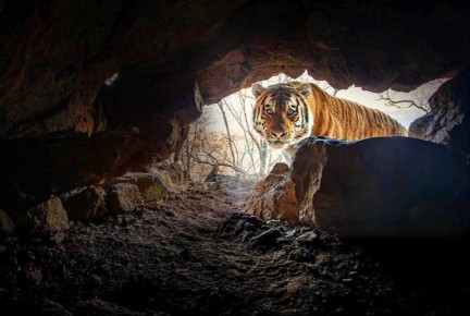 ���������� ��-��. ����������������� ��������� ���� ������� ������� ����������� ����������� ���� � �������� ������ �� ������ ��������