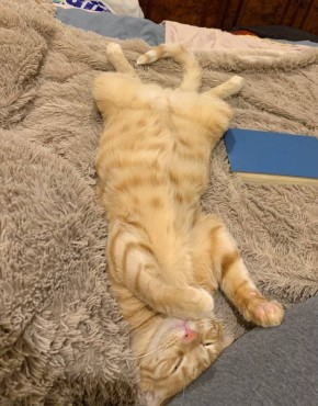 �� ������� ����� ������ ����: ������ ���� �����