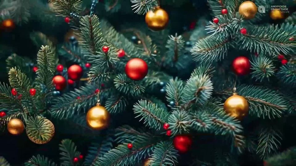 � ���� � 13 �� 14 ������ �� ����� ��������� ����� ��� � ��� �� ������� �����