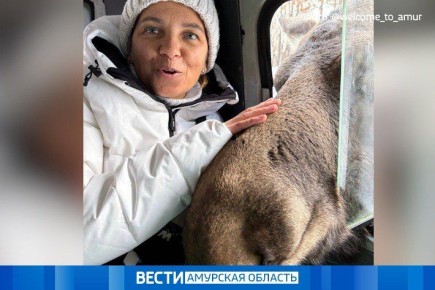 �������� ������ � ����� ����������� ������� �� �������� ������: ����� ������ ���������� 15 ������