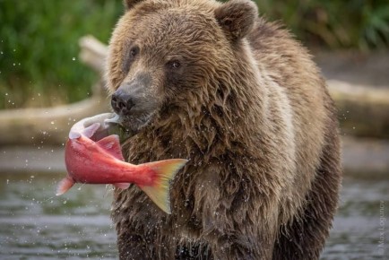 ���� ����� � ���� ������� �������� �������� ����� �� ���������