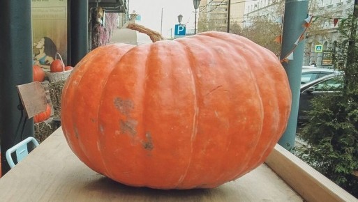 ������ �� �����: ������������ ����������� 100-������������� ������ �� ���������