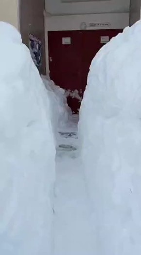 � ����� ������� ������ �������