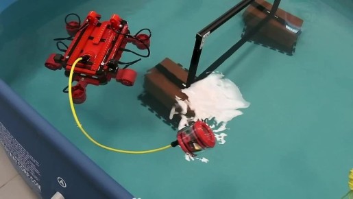 ���� �������: ������� ������������ ������� ���� ��������� ��� ���������� �������������� ���������� �� ��������-������������������ ������ IFURS