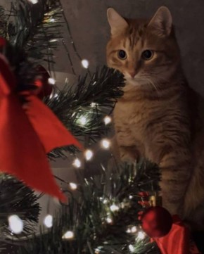 Ну что, праздновали Старый Новый год?