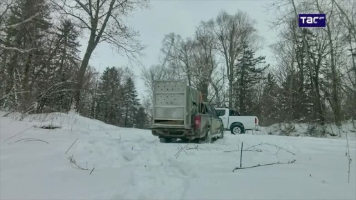 � �������� � ����� ������� ������� ��������� �����, �������� �������� �� ����� ���������� ����������