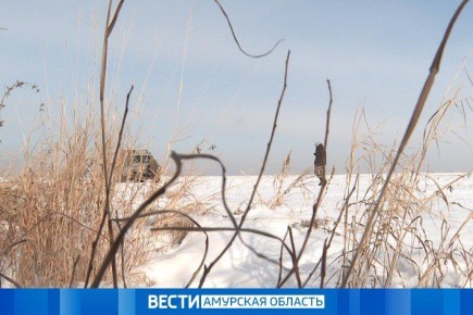 � ��������� ���������� ��������� ���������� ����� ��������