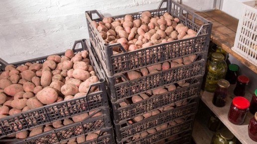 ����������� ����� �������� ���������: ���������������� ��������