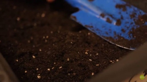 ��������� ����� ����� ��� �������: ��� �������� ���������������� ������