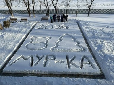 ���-�� � �� ������, � ������: ������� �������� ���������� ������� � �������� �� ����� ������������ �����