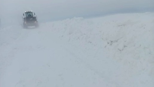 � ������� ������ ������� �������� �� ������� ������������ ������