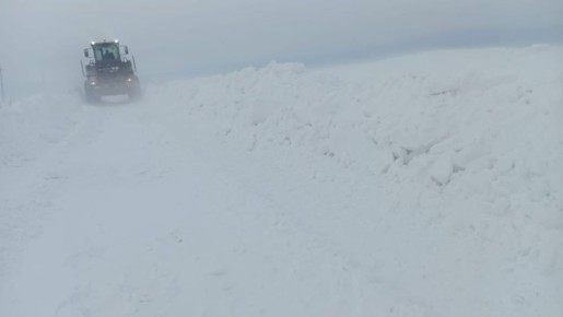 �� ������� ������ �������� ���������� �������� �� ������� ������������ ������