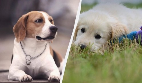 ��������� � �����: 13 ����� �����, ������� �� ����� ��������