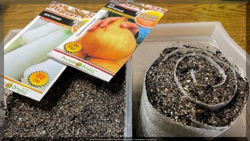 ��� ��������� ��������� ���: ������� ������ ��� ������� � ���������� �����������