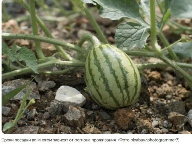 ������ �� ����������� �������