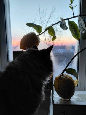 ������� ��������. �������� ��� �� ��������� @ampravda