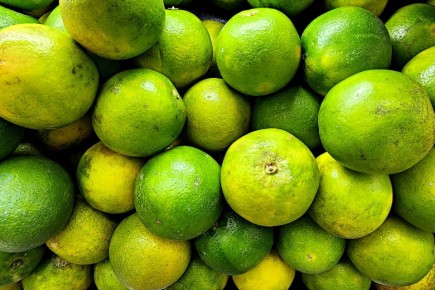 ������� ��� �����: ��� ��� ������ �� ������������� ���������