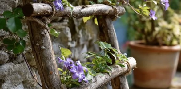 ������� ����: ��� ������������ ����� ��� �������� ���� �� �������