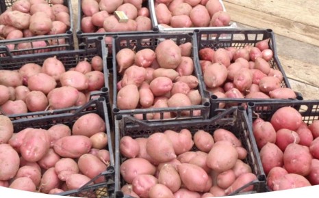 ��� ��������� ������ ��������� ��� ���������� ������� �� ����� �������