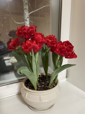 ��� �����: � ����� ������ ���������� ������ ����