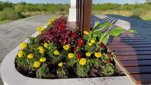 ����� ���������� ��������� � ����� ������ � ������