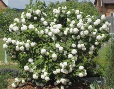 ��� ��������� �������� ������: ������� ������������ ����� � ������ � ����� ����