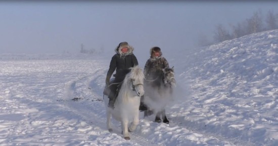 51 ���������������� ����� �� �������� ������� �������� �� ������������� ������� �������� ������ � ����� �����������