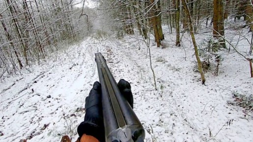 � ����������� ������������� ������ ����������� � �������� ������� �������� � ����������� ��������� �������� ����������� �� ���������� ����� ��������� ����