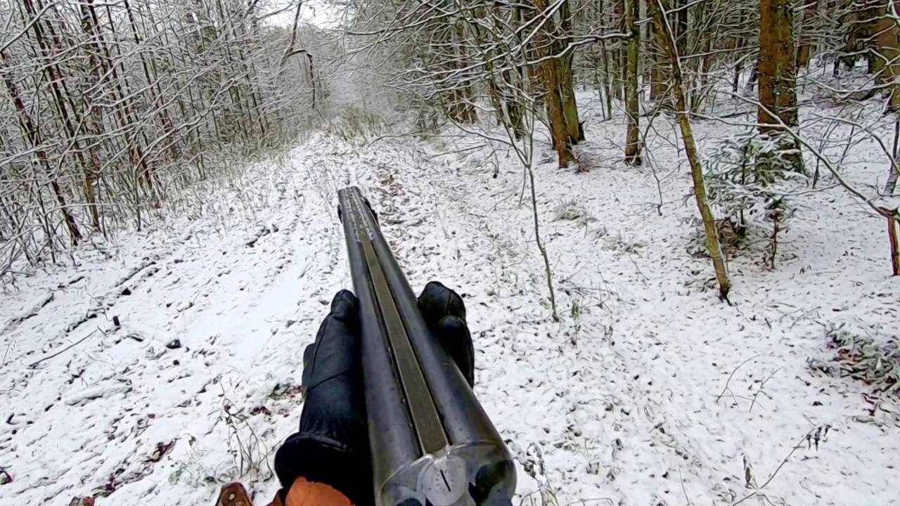 В Шимановском муниципальном округе прокуратура в судебном порядке взыскала с нелегальных охотников денежную компенсацию за причинение вреда животному миру