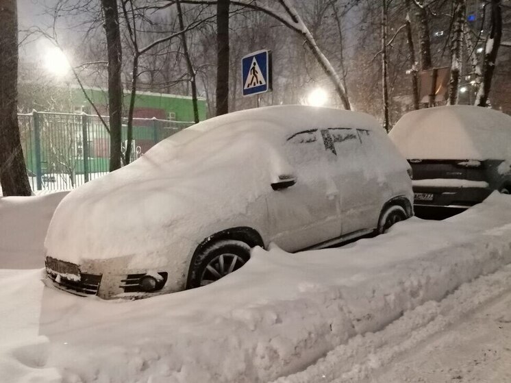 Лопату в руки: в России предложили доплачивать автовладельцам за помощь в уборке снега