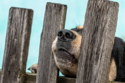 ��������� ��� ���������� ����������� ����� ��������� ����������