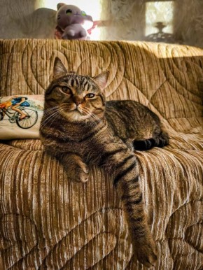 ��� � ��� ������� ����������