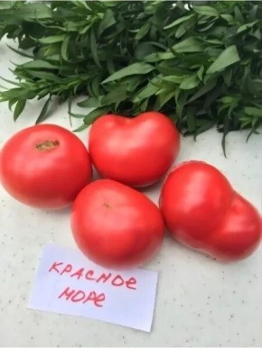 ����� ������� ����: ��������� ���� ����� � �������� ����� ��� �����������