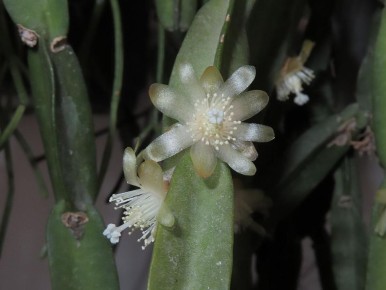 ��������: ��������� ������ �� ��������