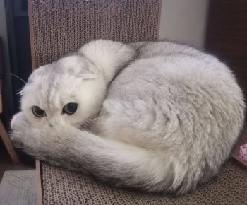 ���� �������� �� ������������