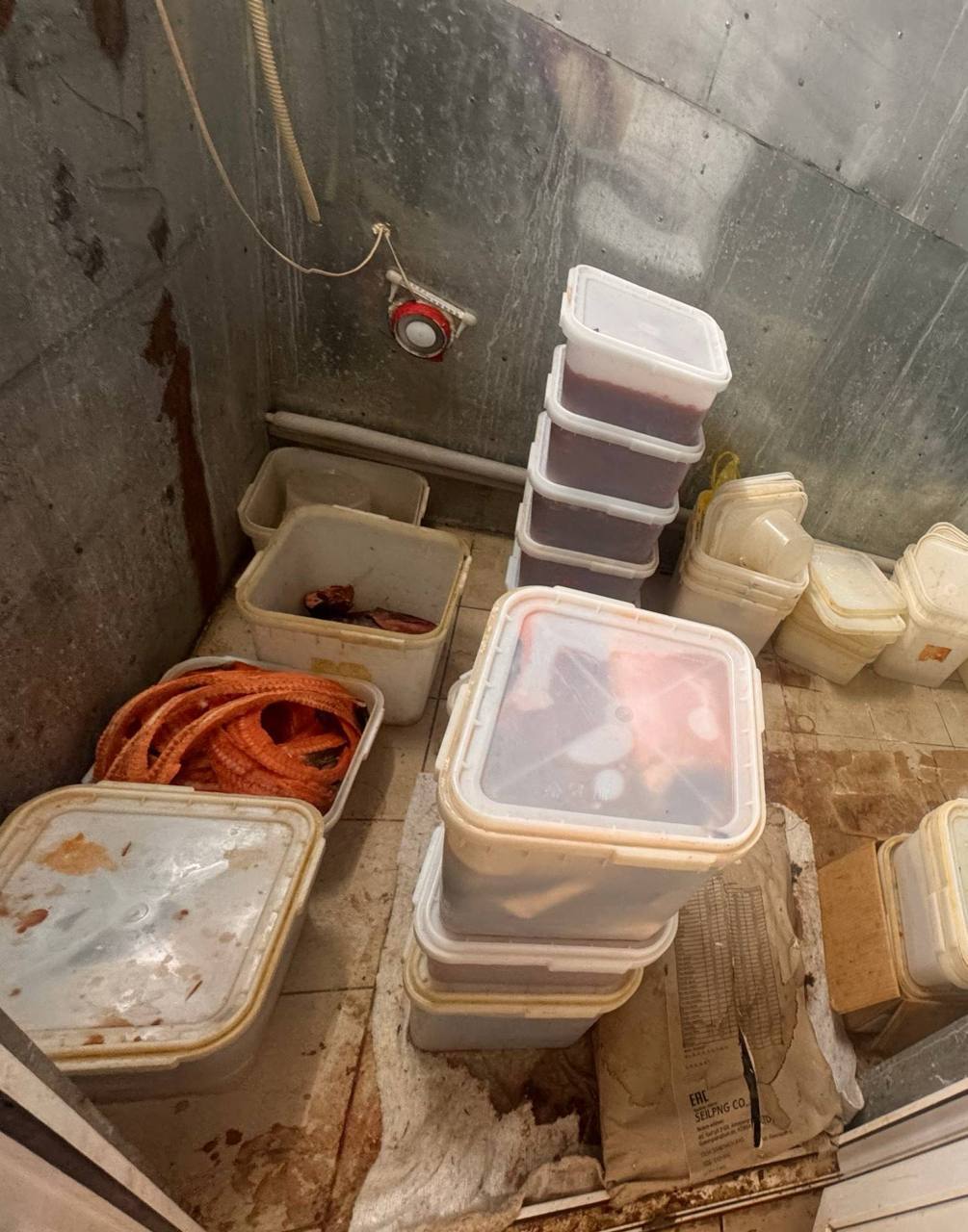 От наводки местного жителя до рейда ФСБ: в Амурской области уничтожили тонну подозрительной рыбы