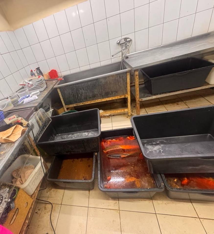 От наводки местного жителя до рейда ФСБ: в Амурской области уничтожили тонну подозрительной рыбы От наводки местного жителя до рейда ФСБ: в Амурской области уничтожили тонну подозрительной рыбы