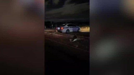 �� ������ ������������ ��������� �������� � �������� ������� - ������������� ���������