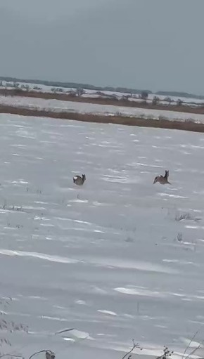 ��������� ������� ������ � ���������� �������� �� ����������� ������