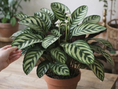 ������� ��� ������ ������ ������ ������� ������� � ��� ��������� � �������