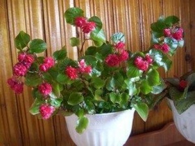 ������������ �������: ����������� ����� � ���� �� �������� ��������� ����