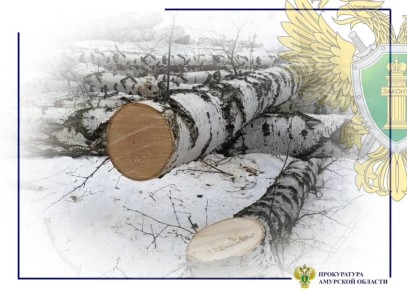 � ����������� ������������� ������ �� ���������� ������������ �������� ������� ������� ��������� � ��������� ���������������