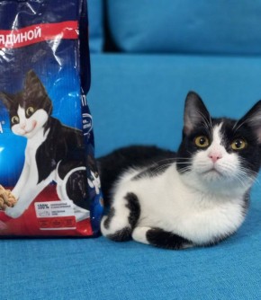 � ����� ������ � � ������� �������!